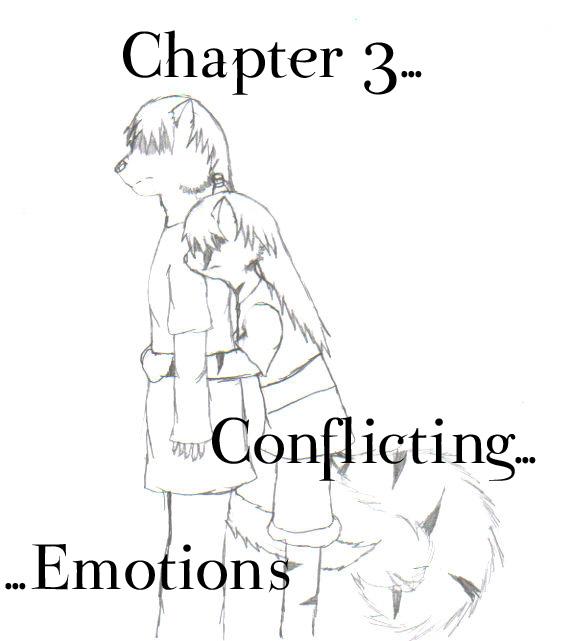 Chapter 3: Comflicting Emotions