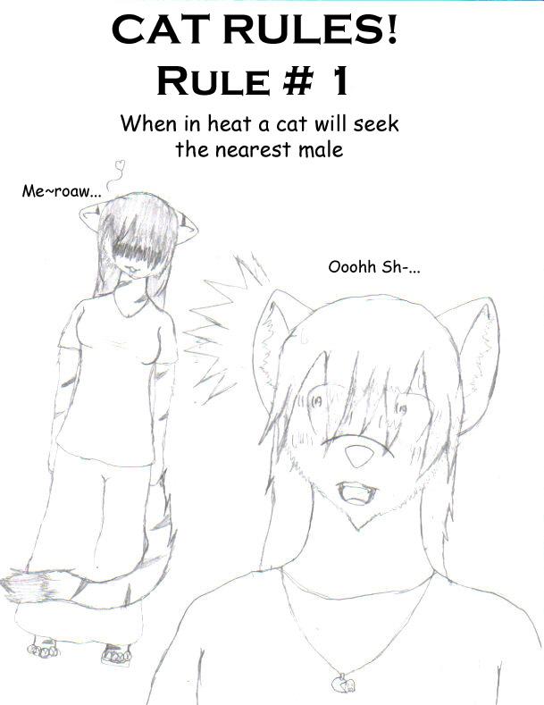 Cat Rules! #1