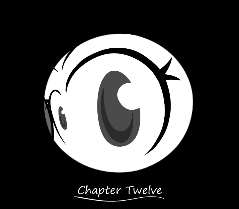 Chapter Twelve Cover!