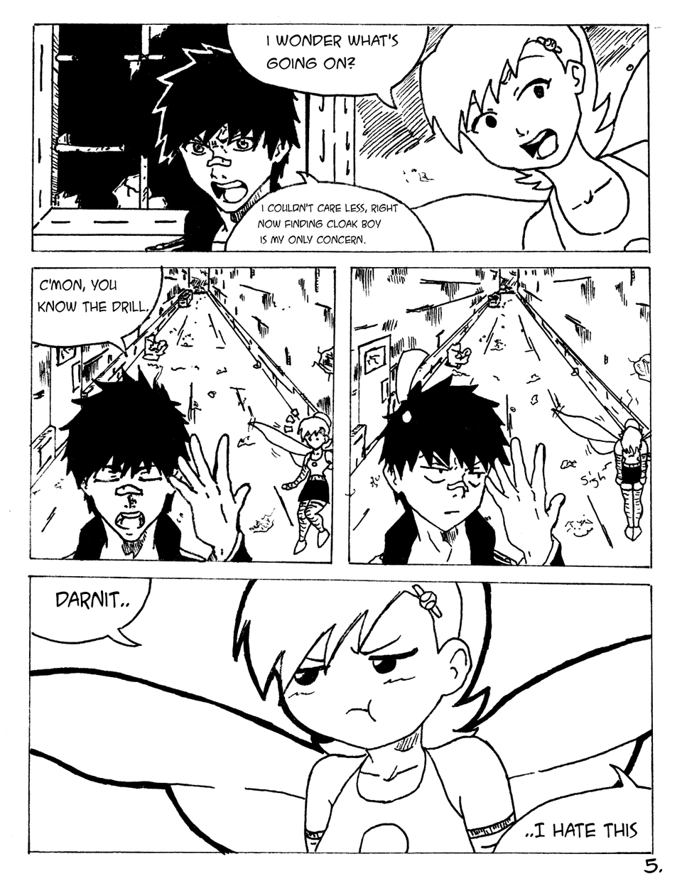 Page 5