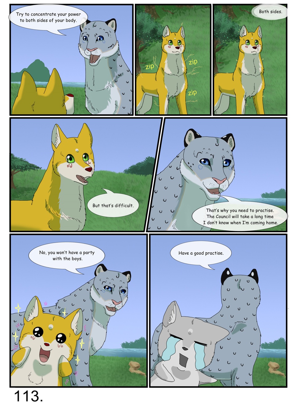 page 113