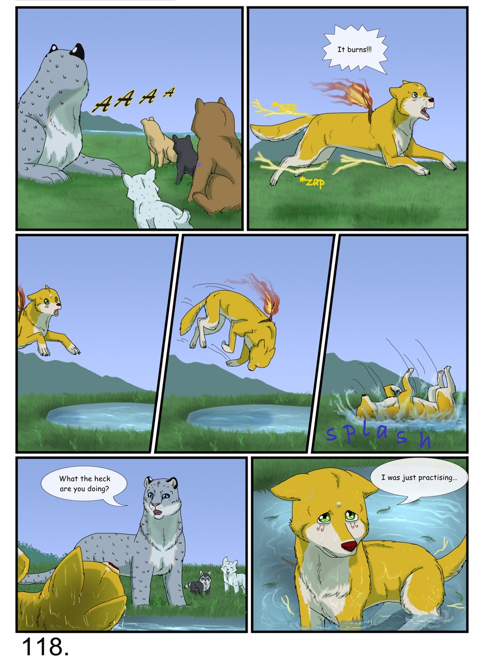 page 118