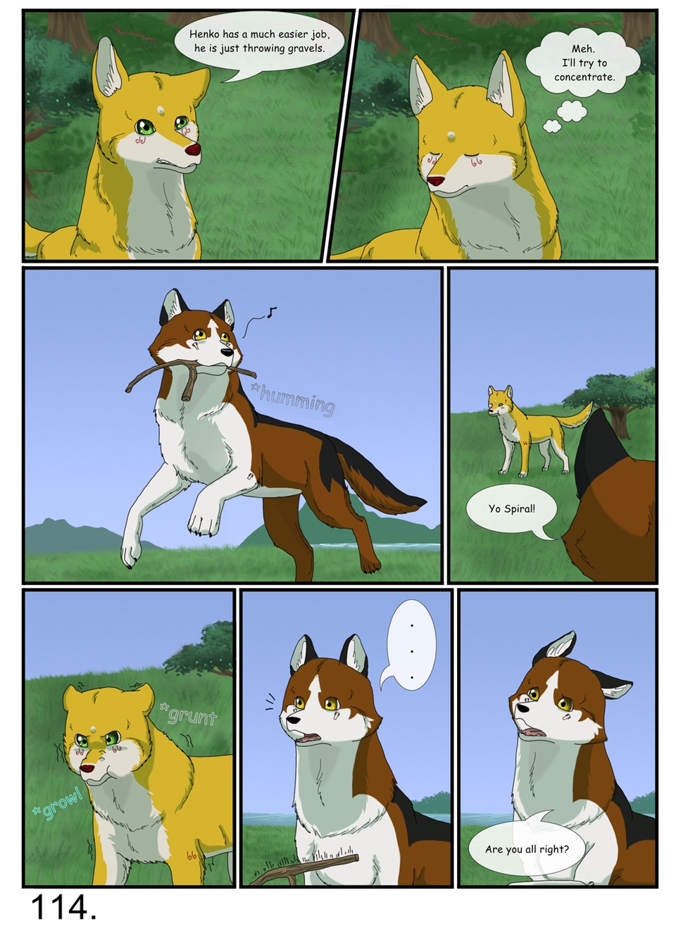 page 114