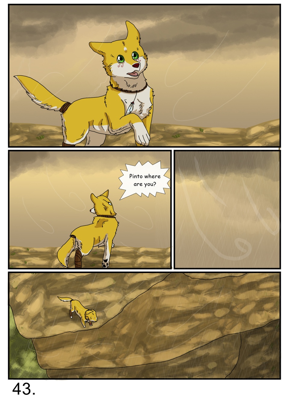 page 43