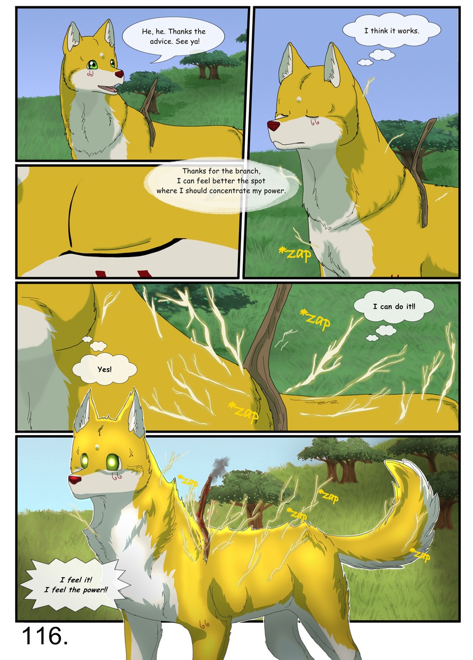 page 116