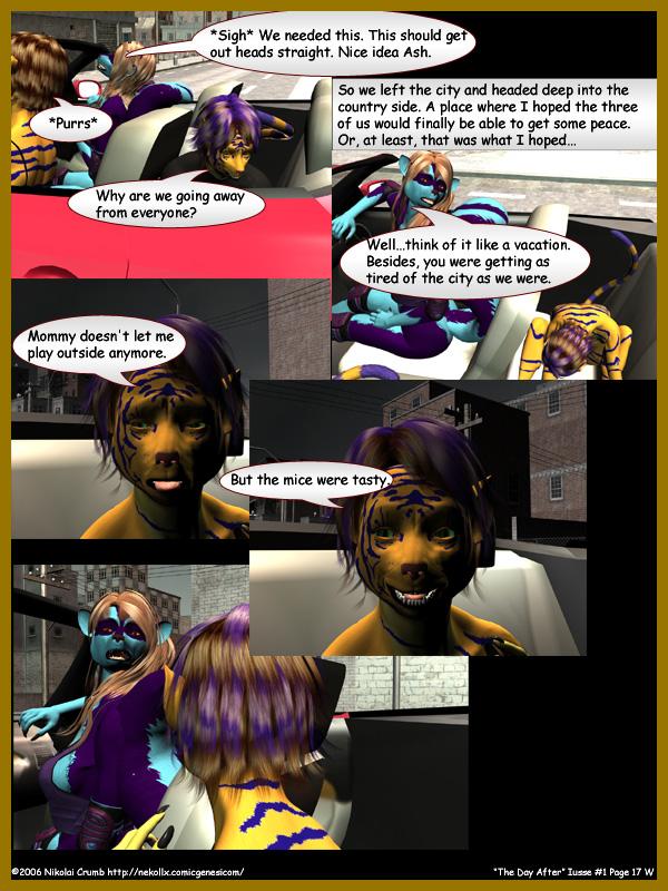 Version 1 page 17