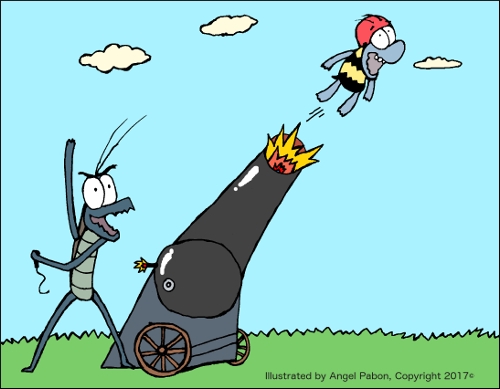 Cannon Ball Robert!!