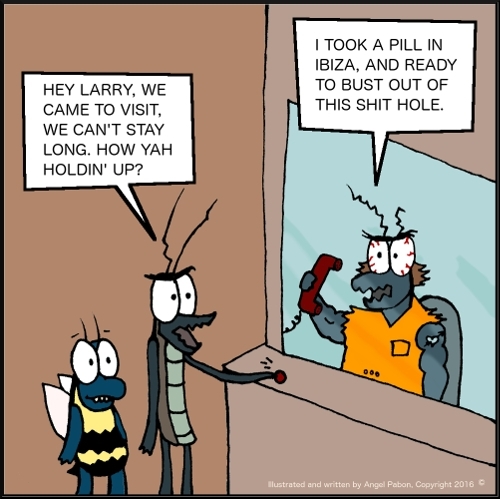 Meet Larry, the Bug with Attitude.