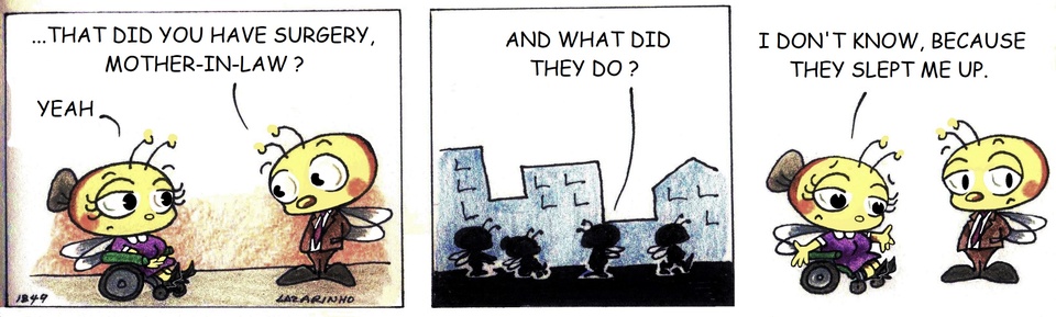 Abejitas
