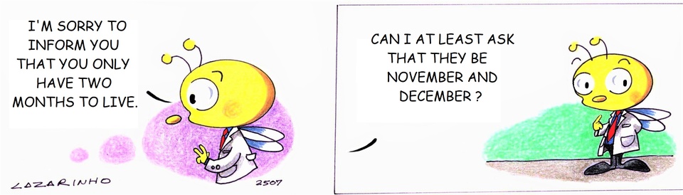 Abejitas