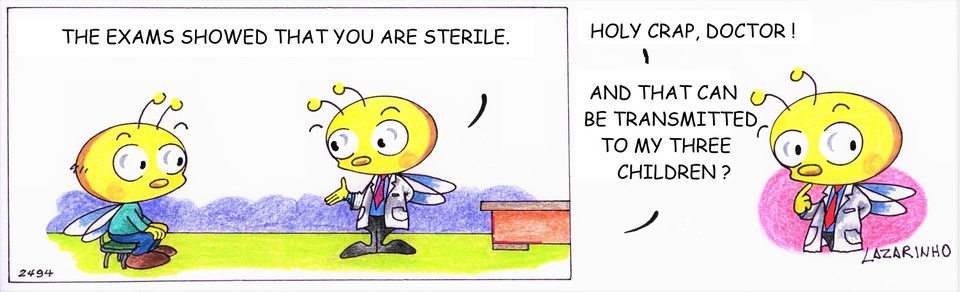Abejitas