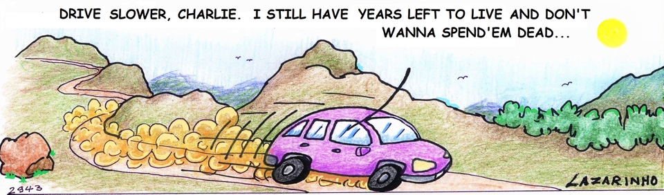 Abejitas 122