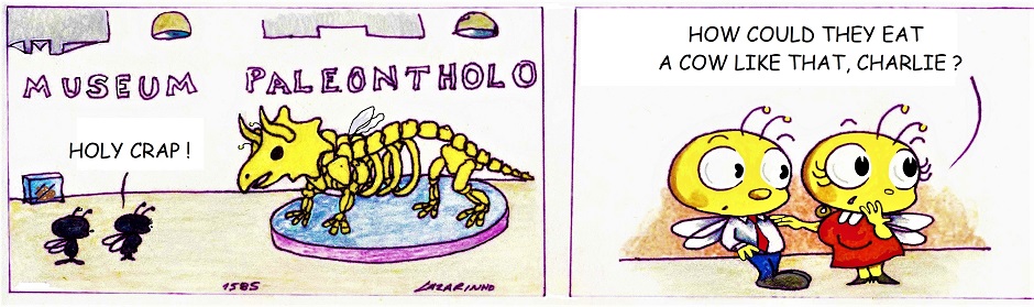 Abejitas