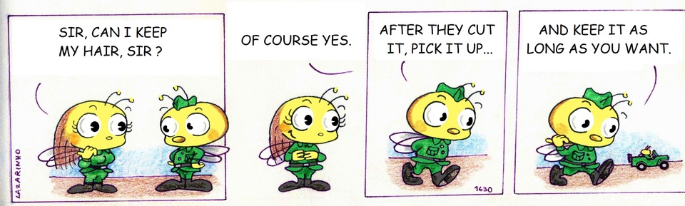 Abejitas
