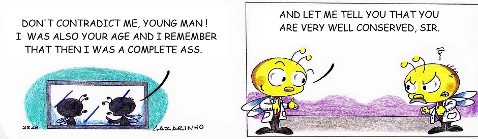 Abejitas