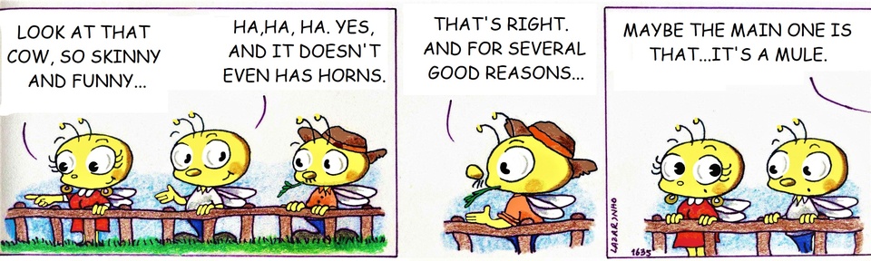 Abejitas