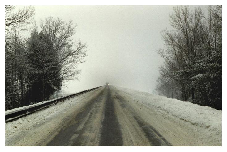 foggy winter