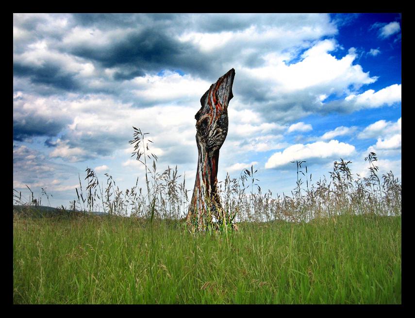 totem