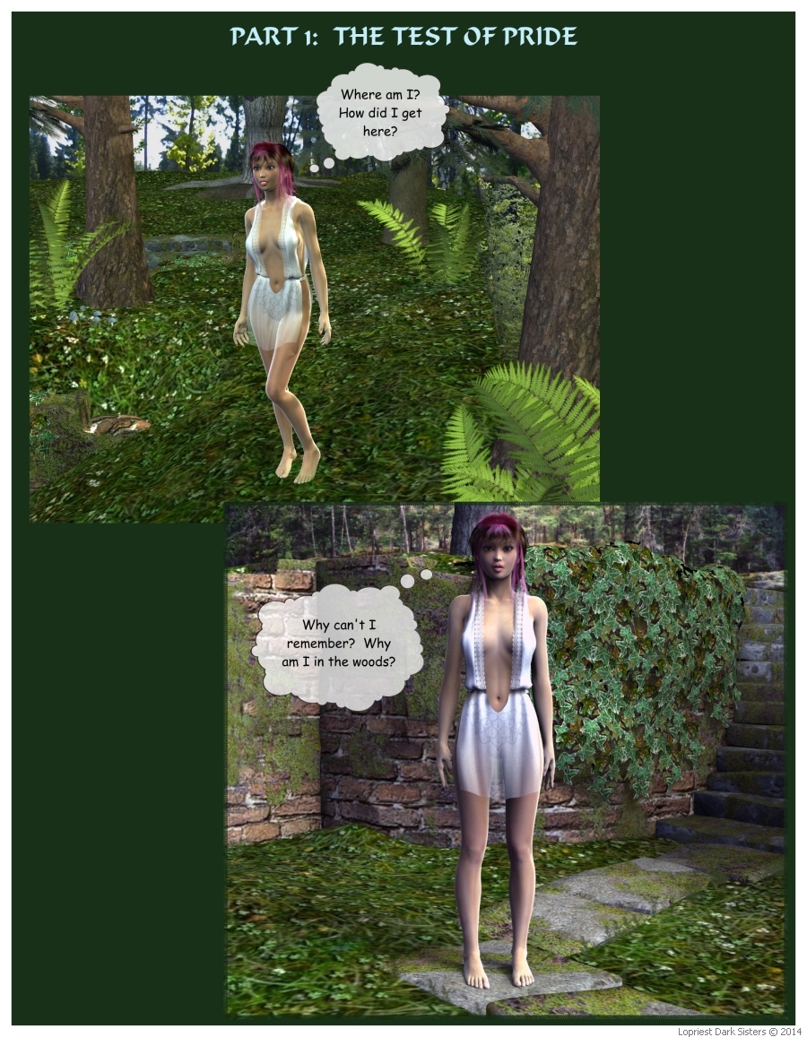 The Test Of Pride page 1