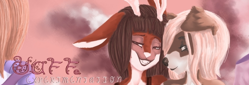 Yaff Experimentation