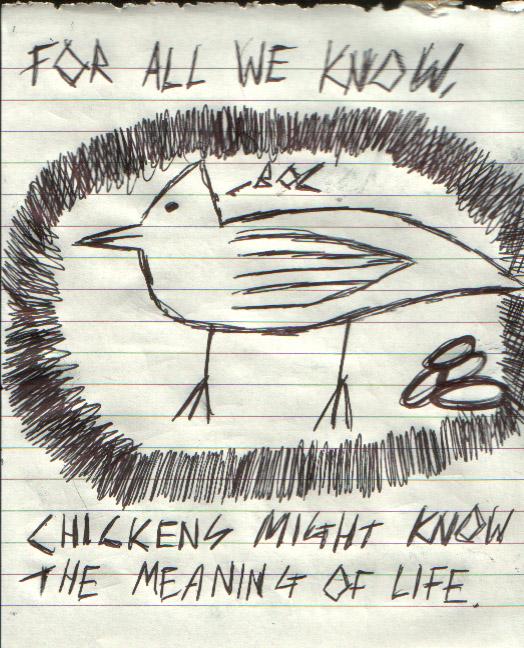 034 - Observe the Chickens.