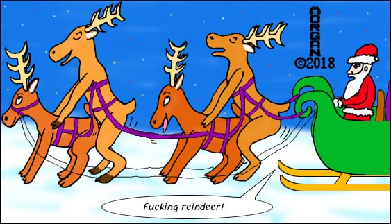 Fucking Reindeer
