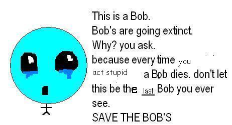 dieing bob's