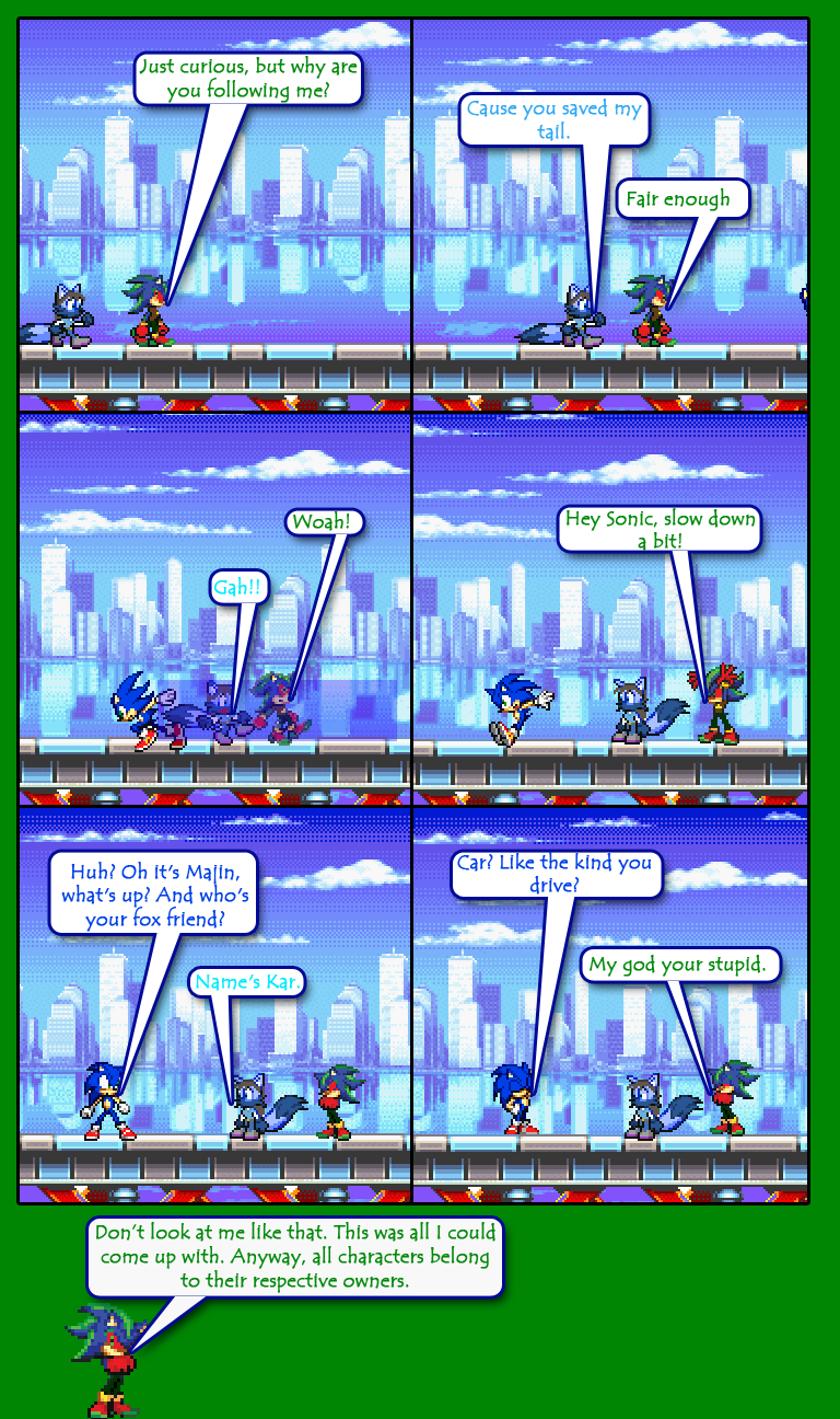 #16 - Sonic the moron