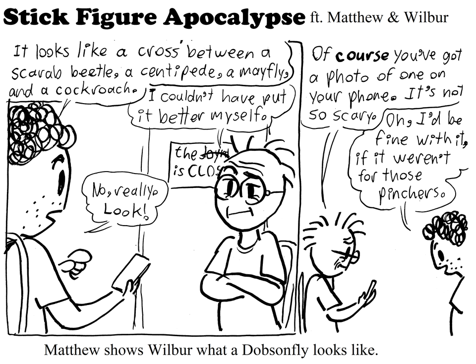 The Dobsonfly Menace