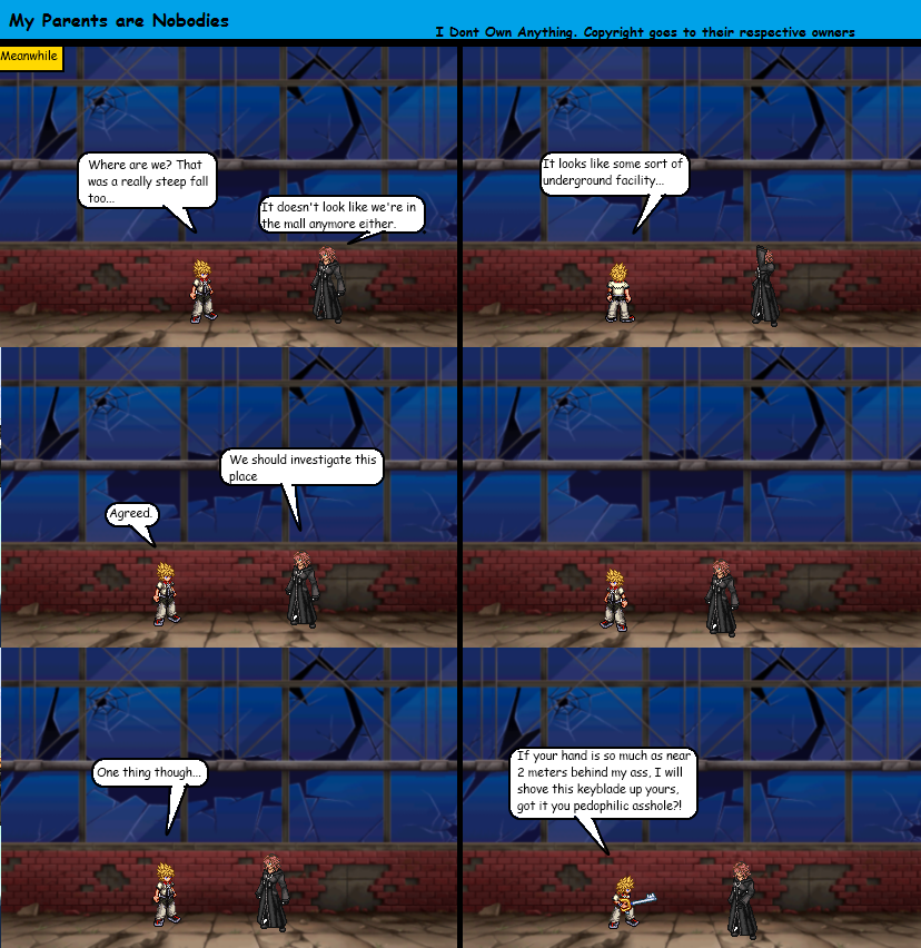 Roxas and Marluxia's Existential Investigation Corner.