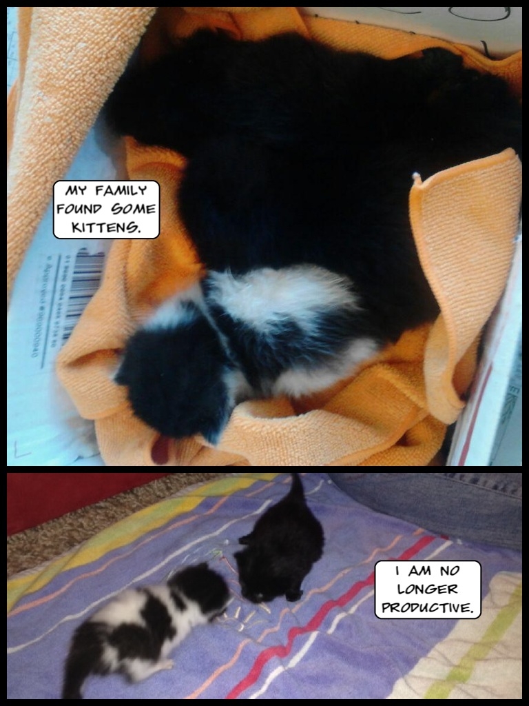 The Inevitable Time-sink