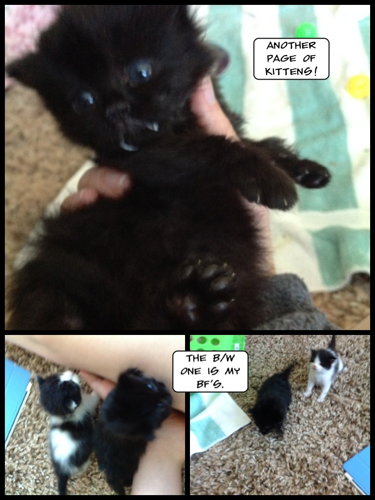 He's not actually retarded. Probably.