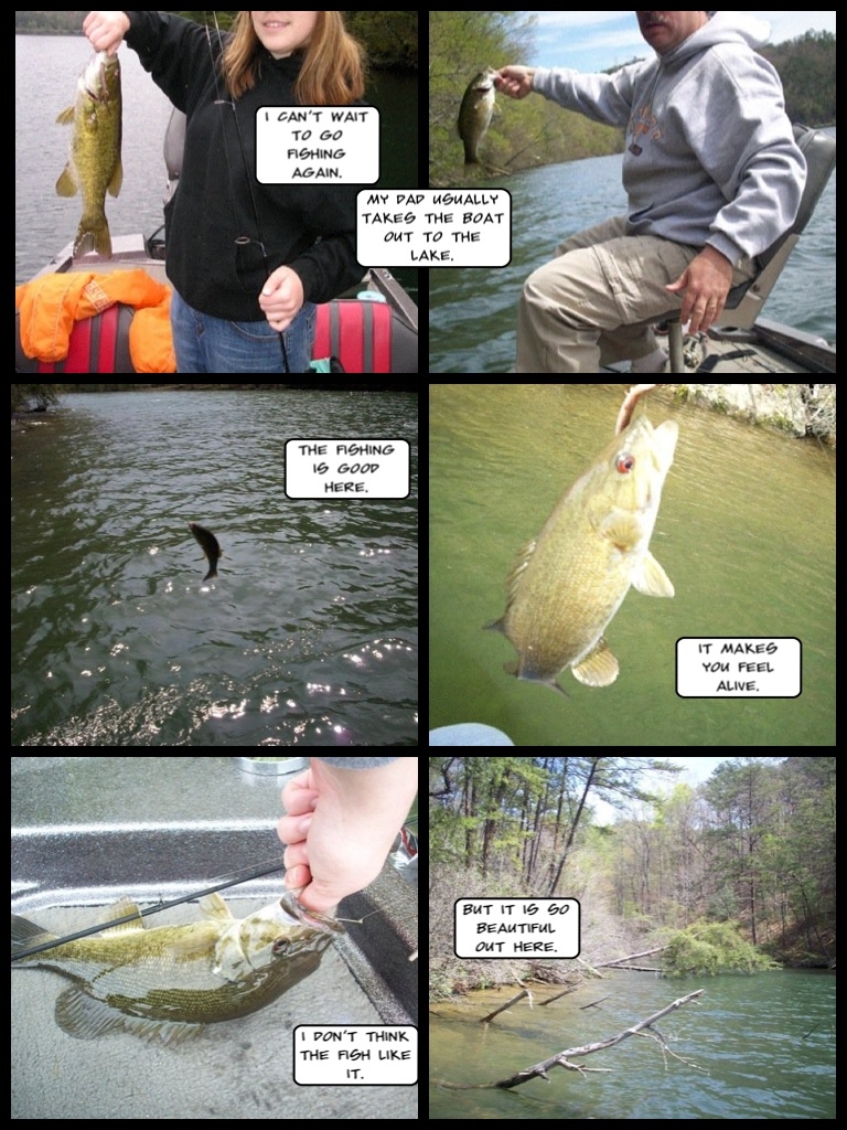 Musings on a Fish's Life