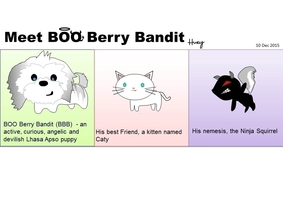 Meet Boo Berry Bandit