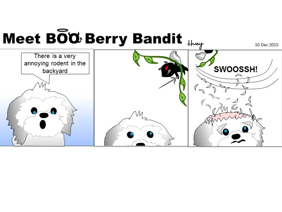 The invisible Ninja Squirrel