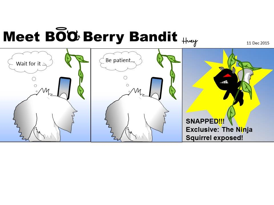 The Ninja Squirrel Exposed