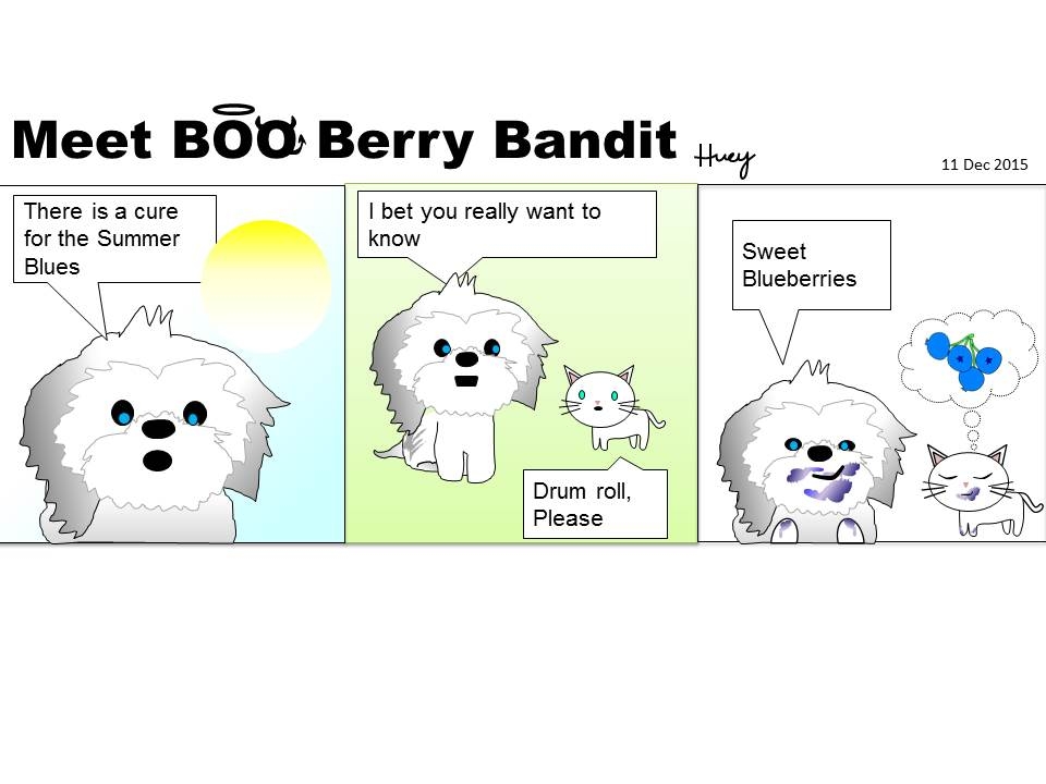 A cure for the Summer Blues