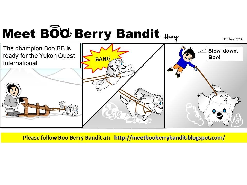 The Yukon Quest International