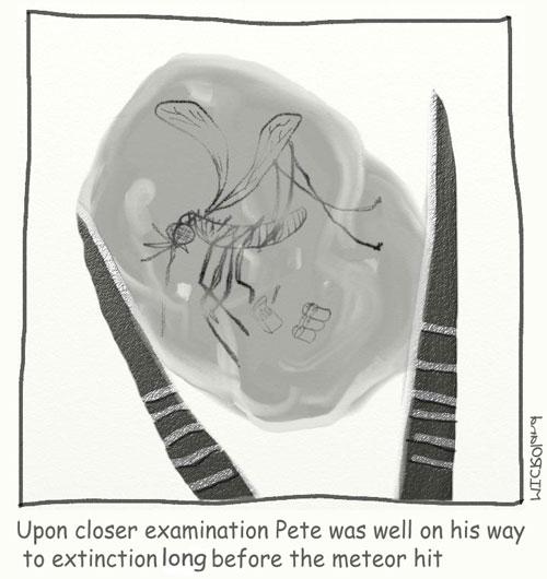 Extinction