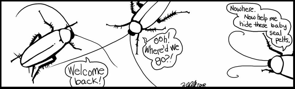 More Cockroach Theater!