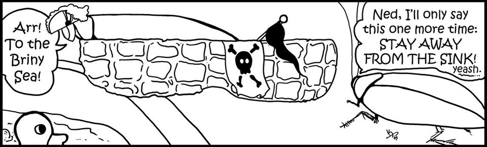 CT101