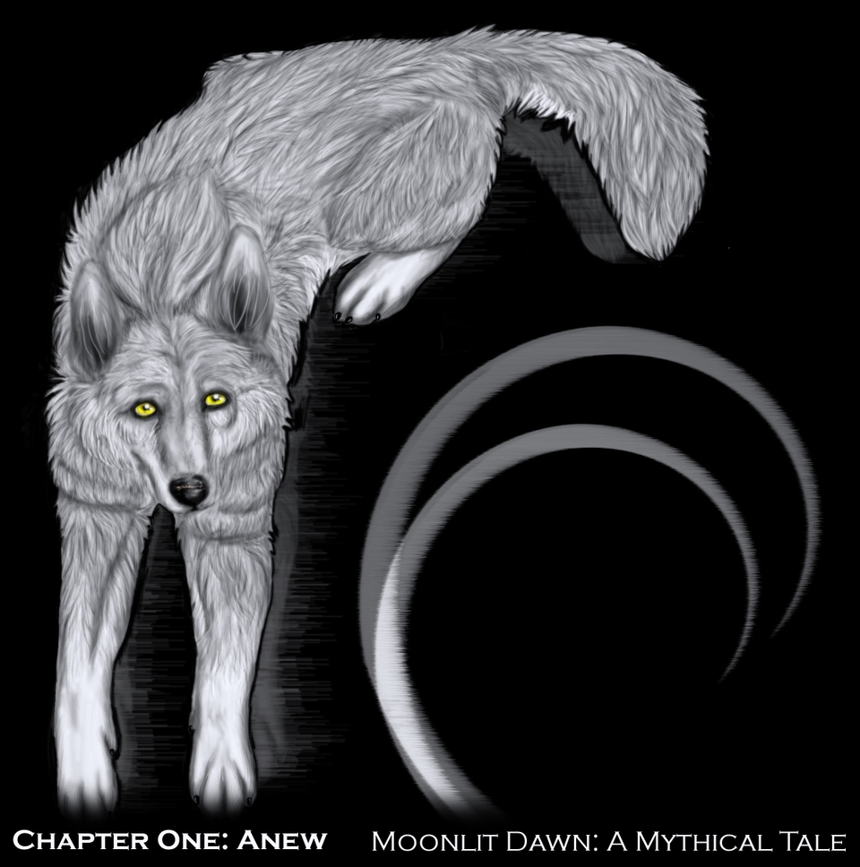 MD: Chapter 1: Anew