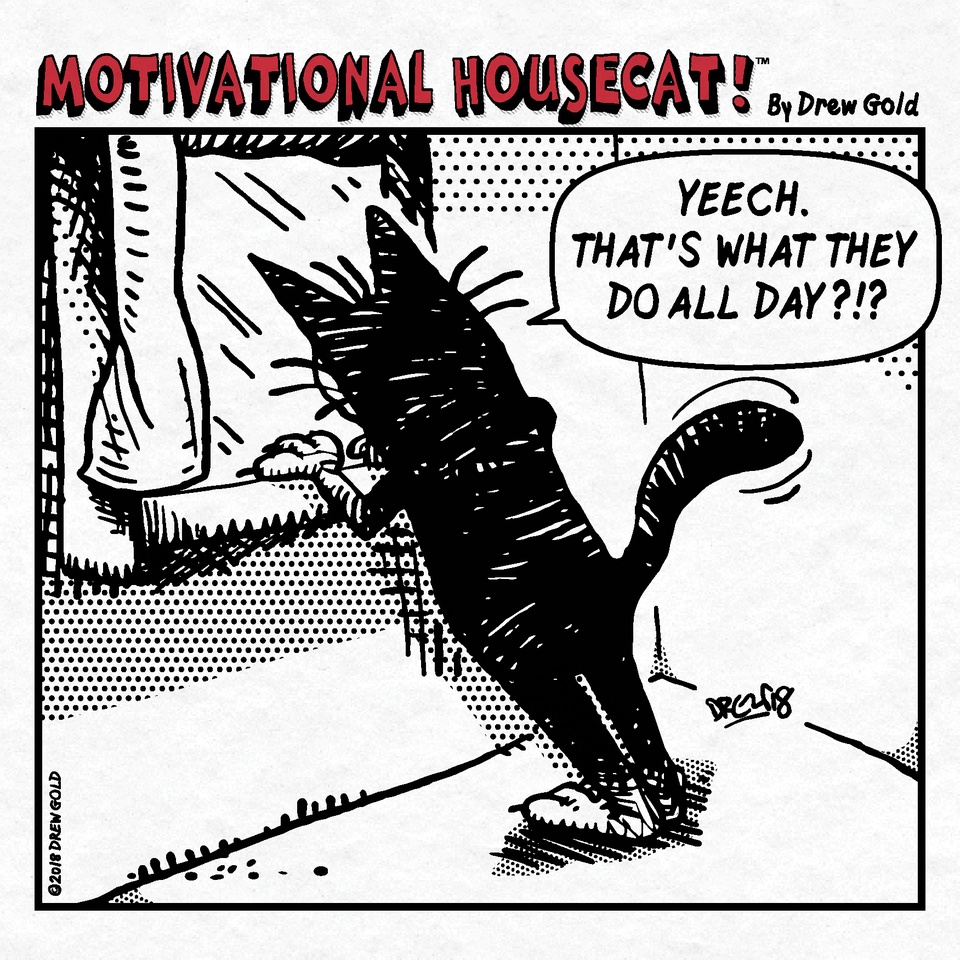 What People Do All Day