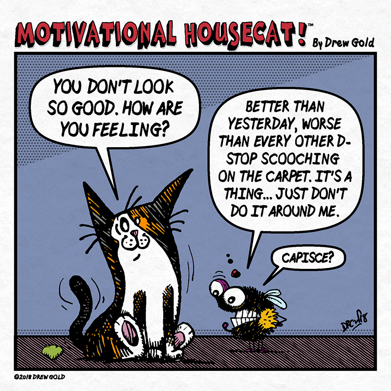 How Are You Feeling?