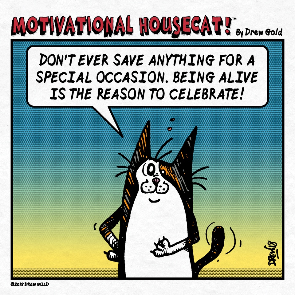 #335: Special Occasion