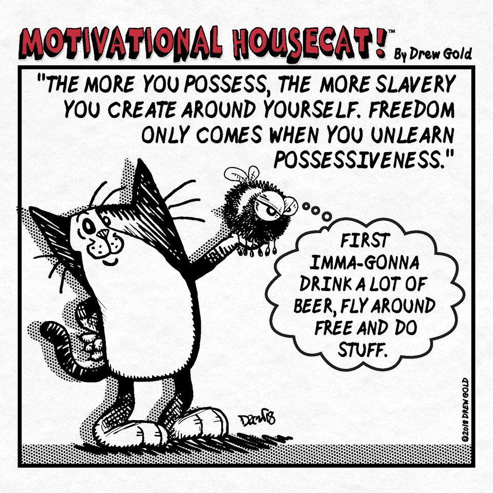 #262: The More You Possess