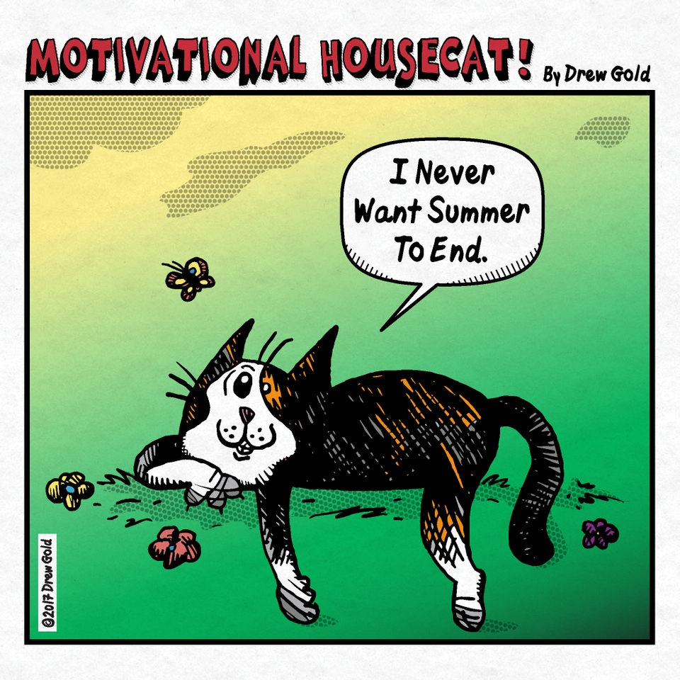 I Never Want Summer To End