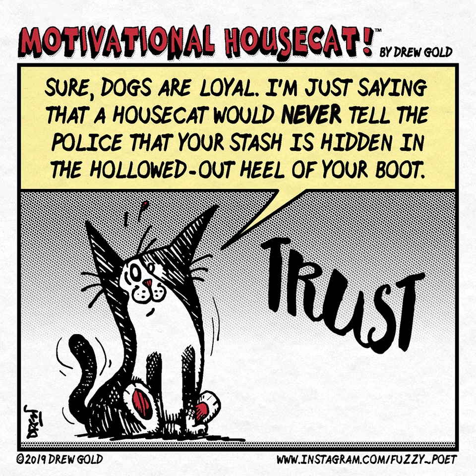Housecats