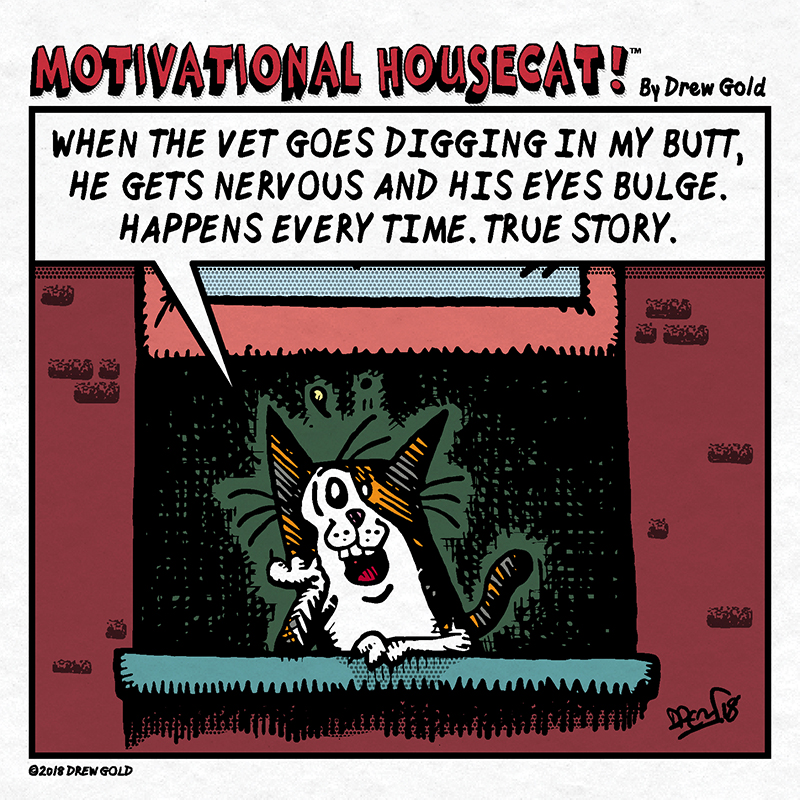 #330: True Vet Stories