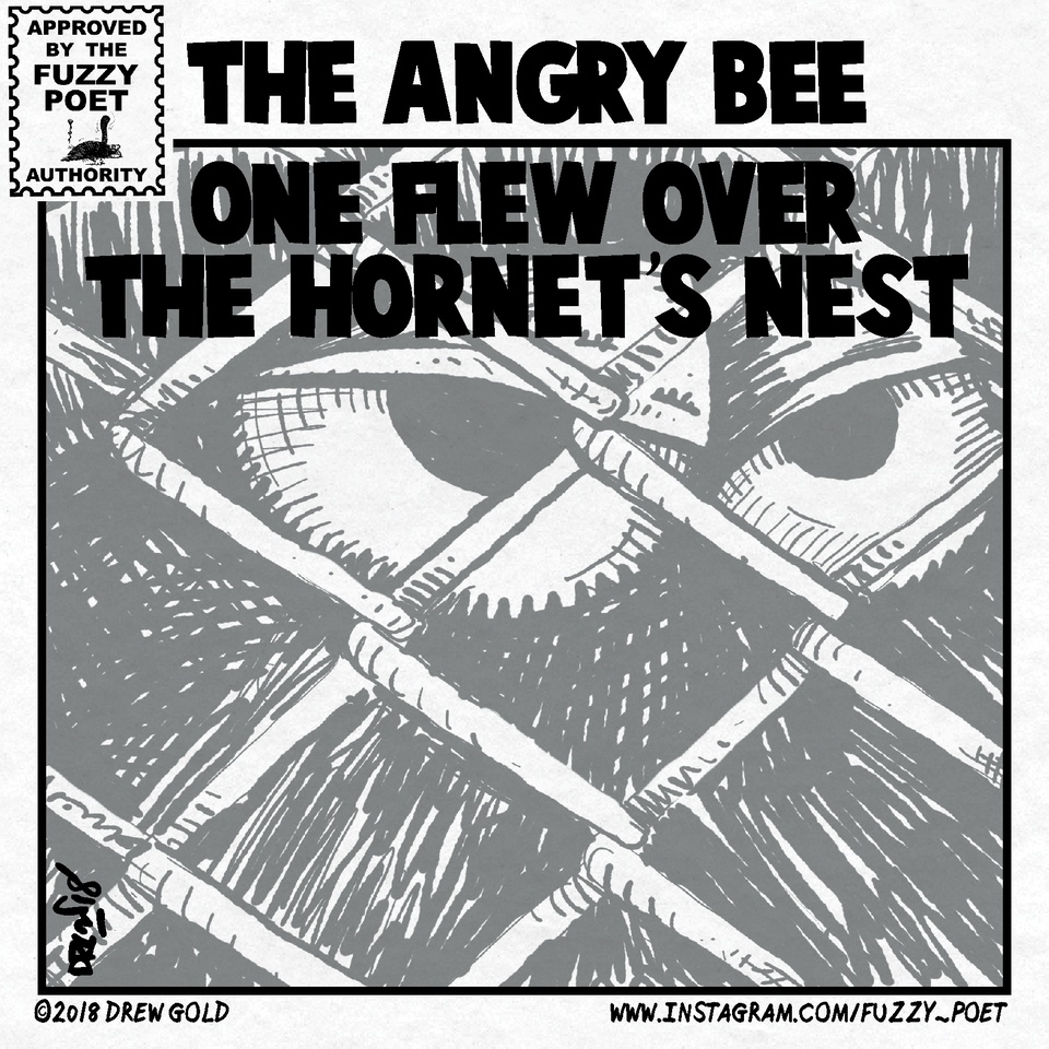 One Flew Over The Hornet's Nest